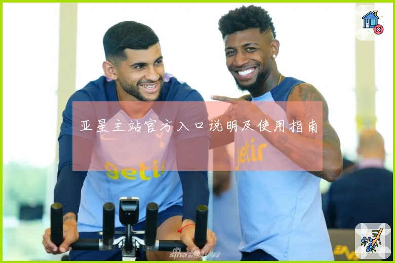 亚星主站官方入口说明及使用指南