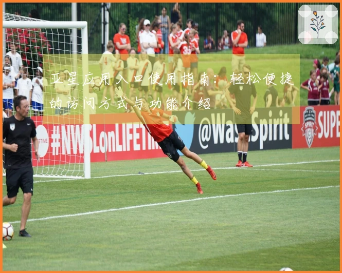 亚星应用入口使用指南：轻松便捷的访问方式与功能介绍